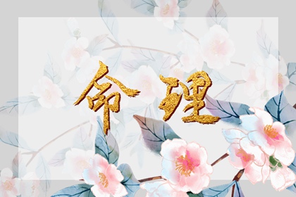 黄历,择吉黄历每日宜忌,2025年黄历吉日查询